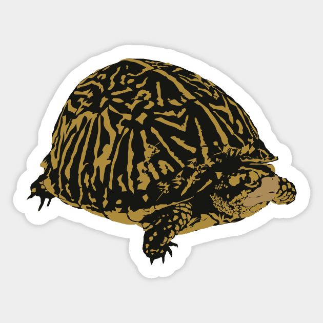 Florida Box Turtle Sticker by stargatedalek